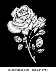 Embroidery rose branch. Craft. Botanical ethnic, folk art. Border frame. Floral patch, boho, bohemian fashion patchwork. Vector hand drawn artwork. Sewing stitch. Black and white