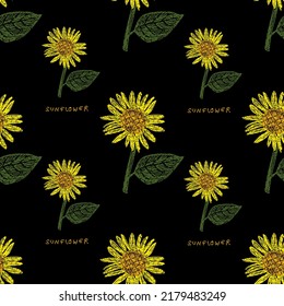 Embroidery seamless pattern with sunflower flowers. Yellow flower on black background.