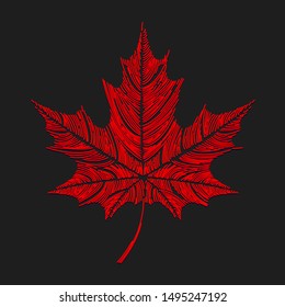 embroidery stitched red maple leaf 