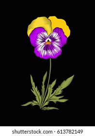 Embroidery of violet flower in botanical illustration style on a black background. Stock vector illustration. 