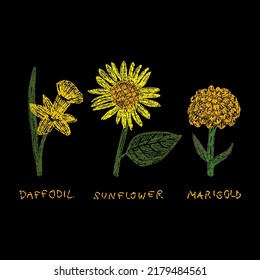 Embroidery with  yellow flower, marigold , sunflower , daffodil on black background.