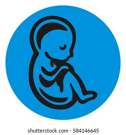 Embryo