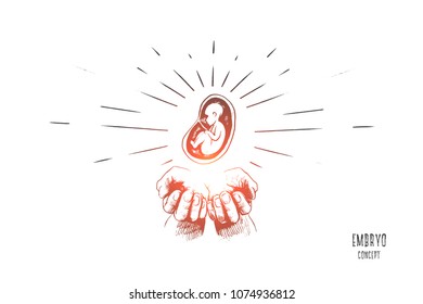 Embryo concept. Hand drawn hands with embryo. Symbol of protection of motherhood isolated vector illustration.