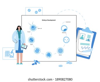 Embryo development diagram. Insemination fertilization, ivf concept. Female and male egg cell. Doctors appointment in clinic. Human sexual reproductive system. Pregnancy flat vector illustration.