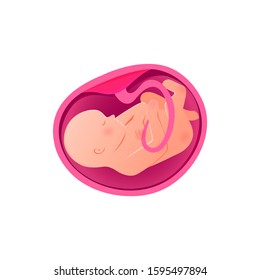 Embryo Development isolated icon. Pregnancy, fetal fetus development. Embryo in the womb illustration for logo. Embryo 9 month stage growth, child birth, baby icon. 