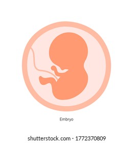 Embryo development stage. Baby icon in womb flat vector illustration. Prental and pregnancy concept. Child inside mothers belly. Medical poster and banner for clinic, hospital or education.