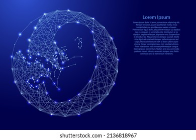 Embryo, human fetus in womb, from futuristic polygonal blue lines and glowing stars for banner, poster, greeting card. Vector illustration.