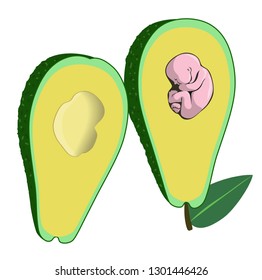 Embryo inside avocado instead of pit.  Vector illustration.