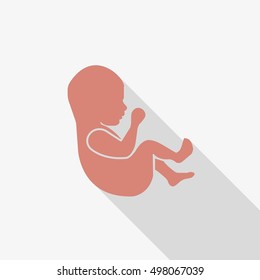 Embryo with long shadow. Flat vector stock illustration. 