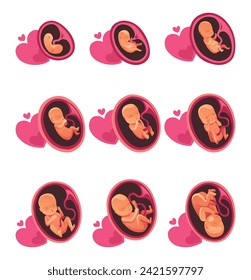 Embryo month stage growth, fetal development vector flat infographic icons. Medical illustration of foetus cycle