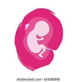 Embryo phase of baby. Human fetus. Embryo development. Vector illustration.