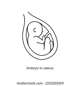 Embryo in uterus line icon in vector, baby illustration.