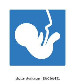 embryo vector glyph colour icon 