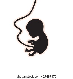 Embryo Vector Illustration