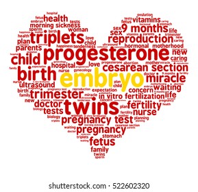 Embryo. Word cloud, red heart, white background. The miracle of birth.