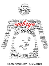 Embryo. Word cloud, silhouette of a pregnant woman, italic font, white background. The miracle of birth.