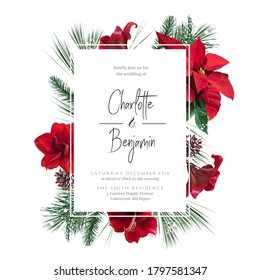 Emerald christmas greenery, red poinsettia, amaryllis, spruce, fir vector design frame. Woodland simple style. Winter wedding or new year party invitation card. Watercolor style. Isolated and editable
