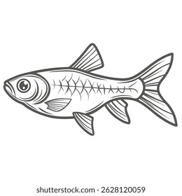 Smaragdzwerg Rasbora Fish Line Art Illustration