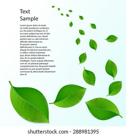 Emerald foliage business template or cover