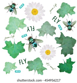 Emerald polygonal fly, green leaves and white daisy, design, vector illustration, eps-10
