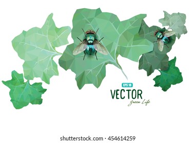 Emerald polygonal fly sitting on a green leaves, vector illustration, eps-10
