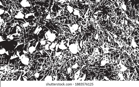 Emergent Vegetation. Background texture. Vector illustration.