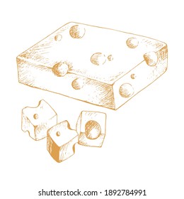 Emmental cheese isolated on white background. Dairy products. Vintage style design. Template for postcard, banner, poster, web design, menu. Hand Drawn vector illustration.