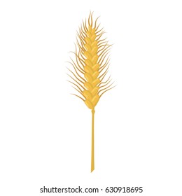Emmer stalk icon. Cartoon illustration of emmer stalk vector icon for web