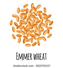 Emmer wheat for template farmer market design, label and packing. Natural energy protein organic super food. Vector cartoon isolated illustration.