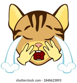 Emoji with a little crying cat from whose eyes a stream of tears pours, emoticon on white isolated background
