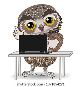 emoji with owl that is pressing a notebook keyboard button with finger, colored vector emoticon on white isolated background