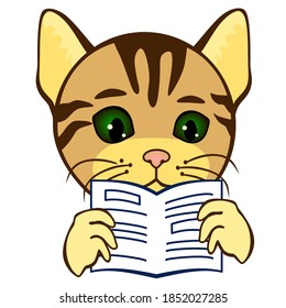 emoticon with cat that is reading newspaper in the morning, kitty reads local news paper with weather forecasts, opinion columns and politics articles, hi looking at the gazette