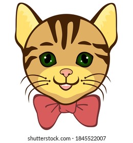 emoticon with a funny cat who is smiling, color vector emoji kitty on white isolated background