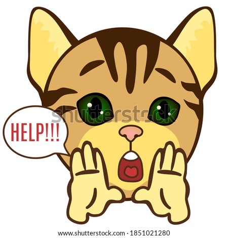 emoticon with a funny scared cat that stands with both palms to his mouth and screams Help, color vector clip art on  white isolated background