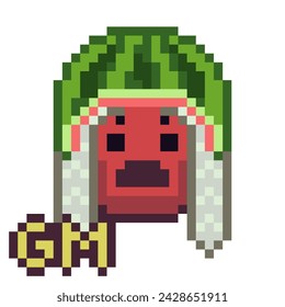 Emoticon with watermelon on head, emoji, smiley. Pixel art style. Fashion hat face. Funny cartoon character. Web icon. Facial expression. 8-bit style. Isolated abstract vector illustration.