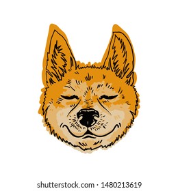 The emotional coloring head of a dog vector. A cheerful muzzle of a fox-like dog. Posters with dogs shiba inu.  Japanese breed of dog.