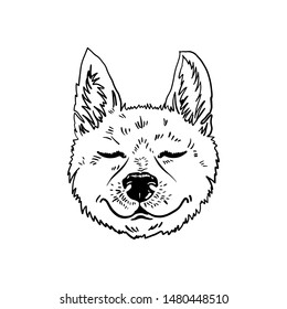 The emotional coloring head of a dog vector. A cheerful muzzle of a fox-like dog. Posters with dogs shiba inu.  Japanese breed of dog.