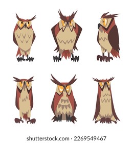 Emotional owls set. Brown owl characters with funny face expression cartoon vector illustration