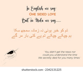 Emotional urdu poetry for world poetry day with english translation