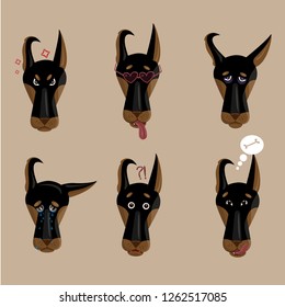emotions of the dog