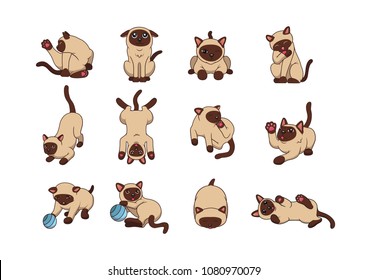 The emotions of Thai cat