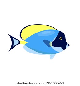 Emperor angelfish. Coral reef fish. Isolated vector illustration