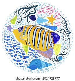 Emperor angelfish Pomacanthus imperator on white, sea animal wildlife character. Nature underwater, marine wild ocean zoo fish.