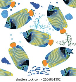 Emperor angelfish, Pomacanthus imperator seamless patterns, sea animal wildlife character. Nature underwater, marine wild ocean zoo fish