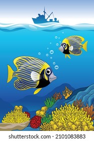 Emperor Angelfish Swimming at the coral life