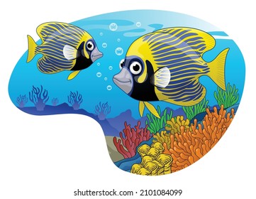 Emperor Anglefish life in the Coral Reef