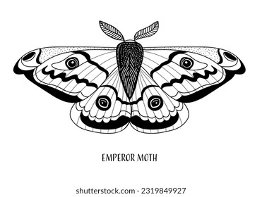 Ilustración dibujada a mano por Emperor Moth. Saturnia pavonia vector aislado negro y blanco 