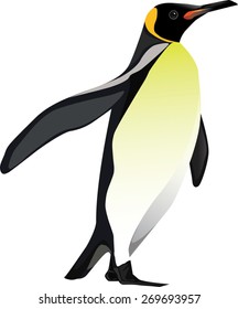 Emperor penguin