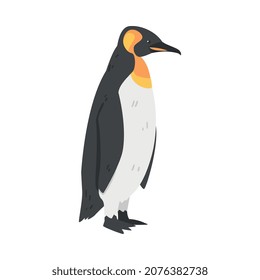 Emperor Penguin as Aquatic Flightless Bird with Flippers for Swimming in Standing Pose Vector Illustration