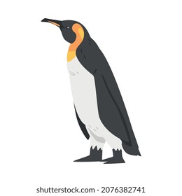 Emperor Penguin as Aquatic Flightless Bird with Flippers for Swimming in Standing Pose Vector Illustration